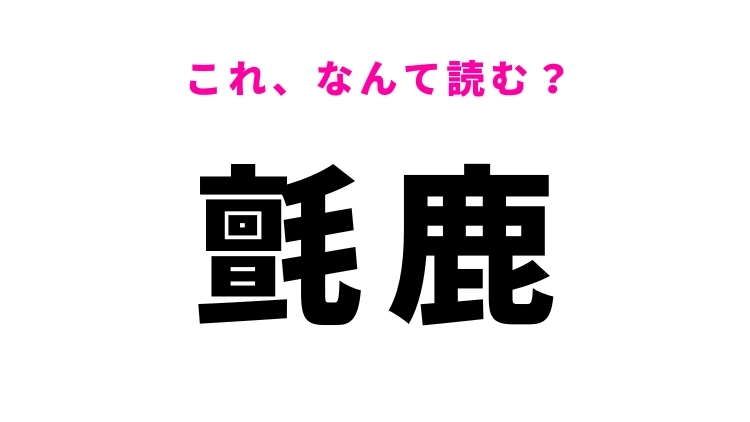 【漢字クイズ】「氈鹿」はなんて読む？動物を表す難読漢字！