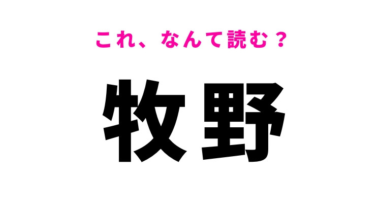 【牧野】はなんて読む？「まきの」以外の読み方！