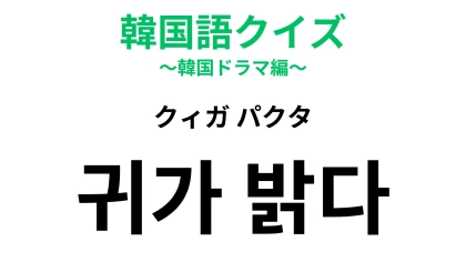 【韓国語クイズ】「귀가 밝다（クィガ パクタ）」の意味は？体の部位が入っているフレーズ！
