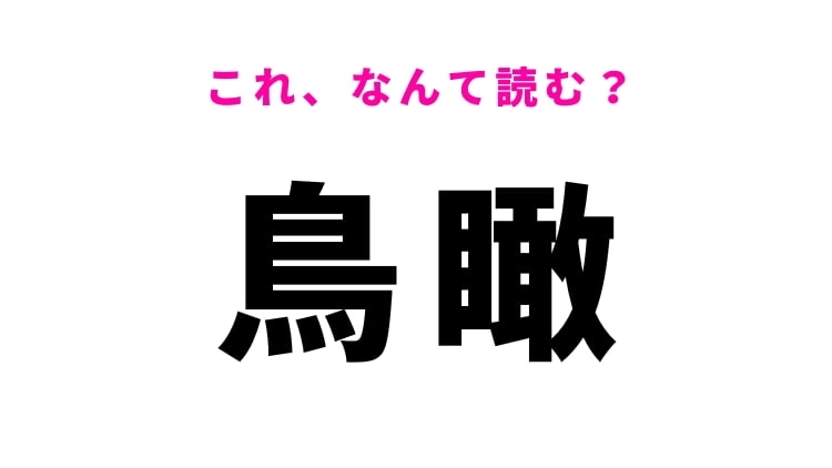 【漢字クイズ】「鳥瞰」はなんて読む？知っておきたい難読漢字！