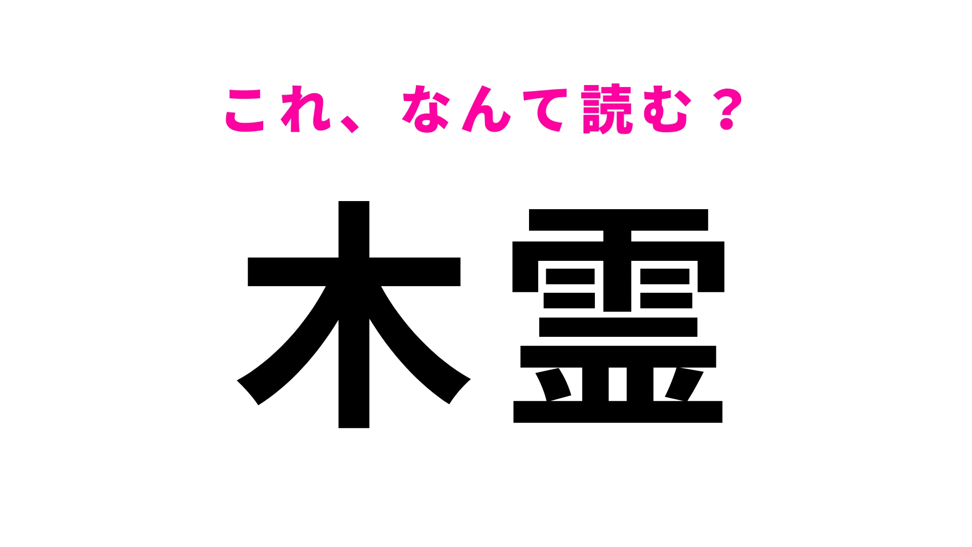 【木霊】はなんて読む?「きれい」ではありません!
