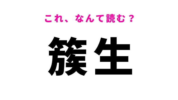 【簇生】はなんて読む？「簇」の読み方がポイント！