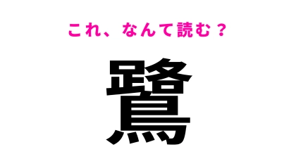 【漢字クイズ】「鷺」はなんて読む？どんな鳥を表す...！？