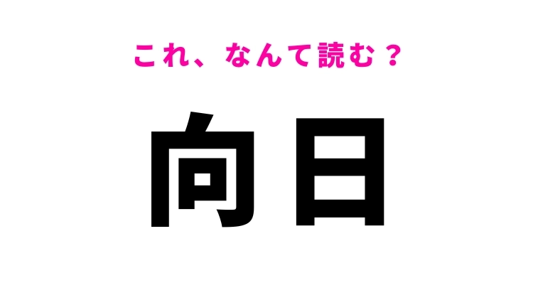 「向日」はなんて読む？答えはひらがな4文字！