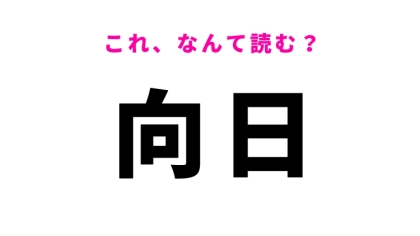 「向日」はなんて読む？答えはひらがな4文字！