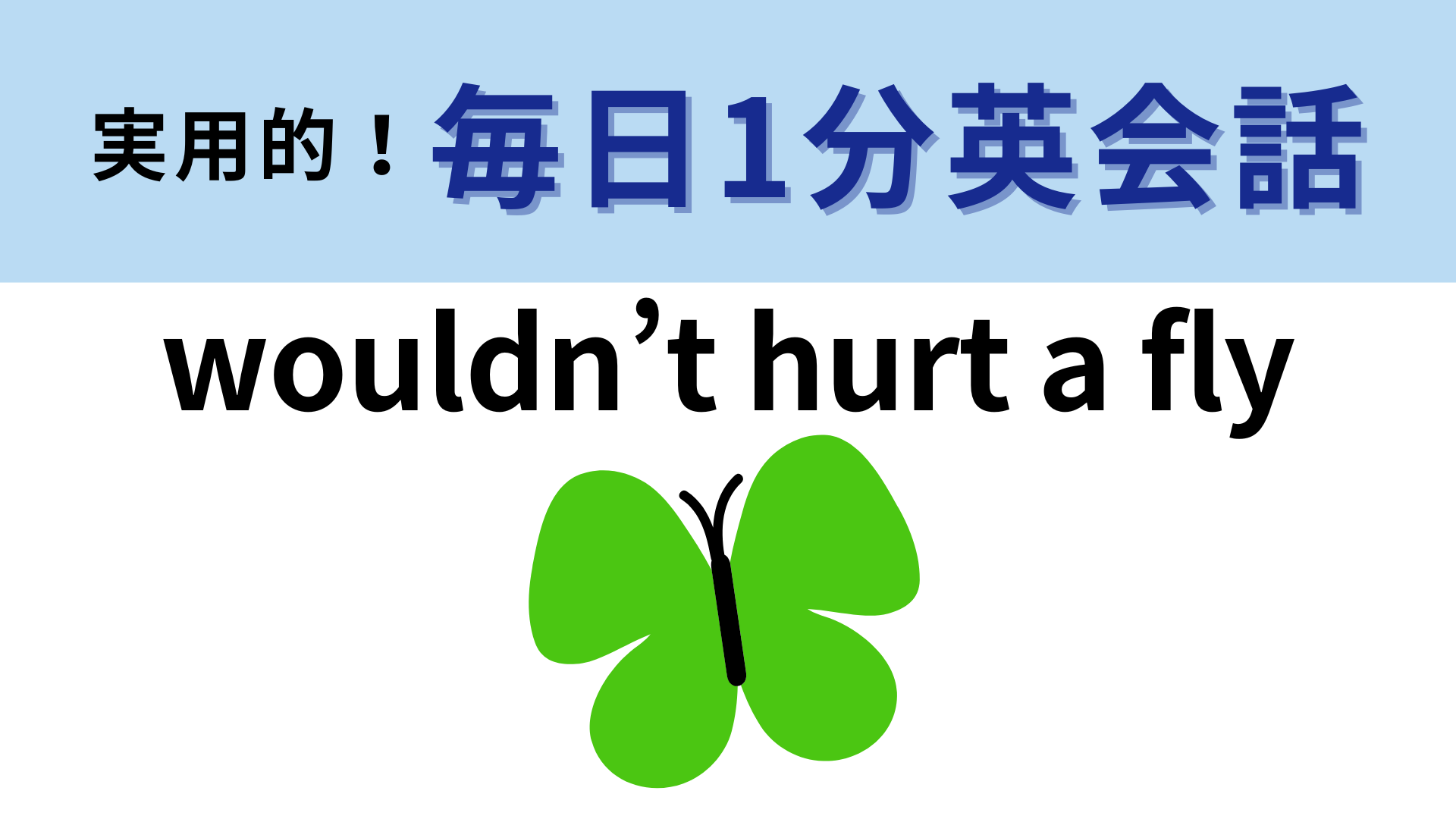 「wouldn’t hurt a fly」の意味は？ハエを傷つけそうもないってどういう意味！？【1分英会話】
