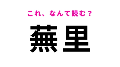 「蕪里」はなんて読む？「蕪」が読めたらすごい！