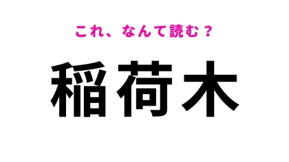 【漢字クイズ】「稲荷木」の読み方は？「いなりぎ」ではありません！