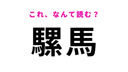 【漢字クイズ】「騾馬」はなんて読む？名前自体は聞いたことがある動物です！