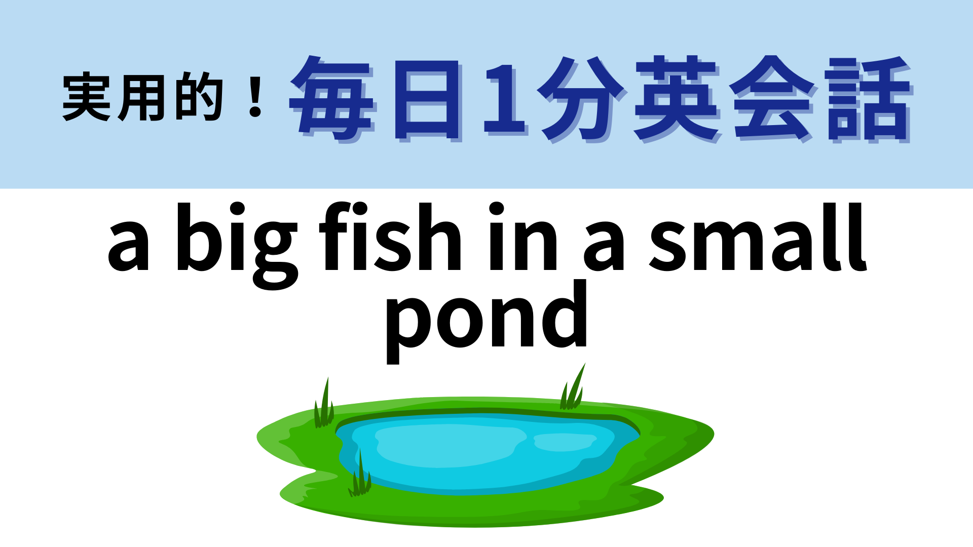「a big fish in a small pond」の意味は？よ〜く考えてみて！【1分英会話】