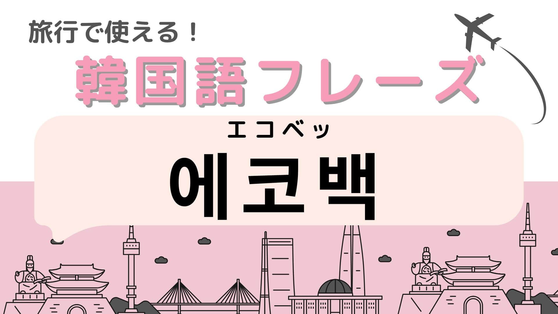 「에코백（エコベッ）」の意味は？韓国旅行のお土産にも…！