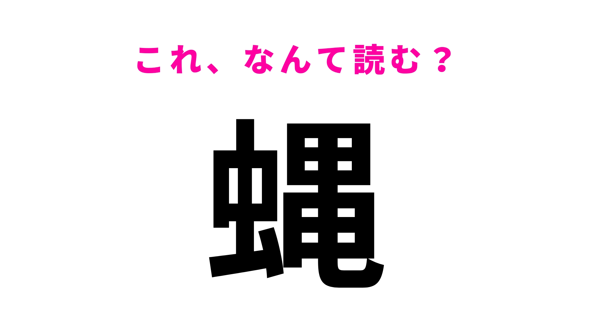 【漢字クイズ】「蝿」はなんて読む？ひらがな2文字の虫の名前です！