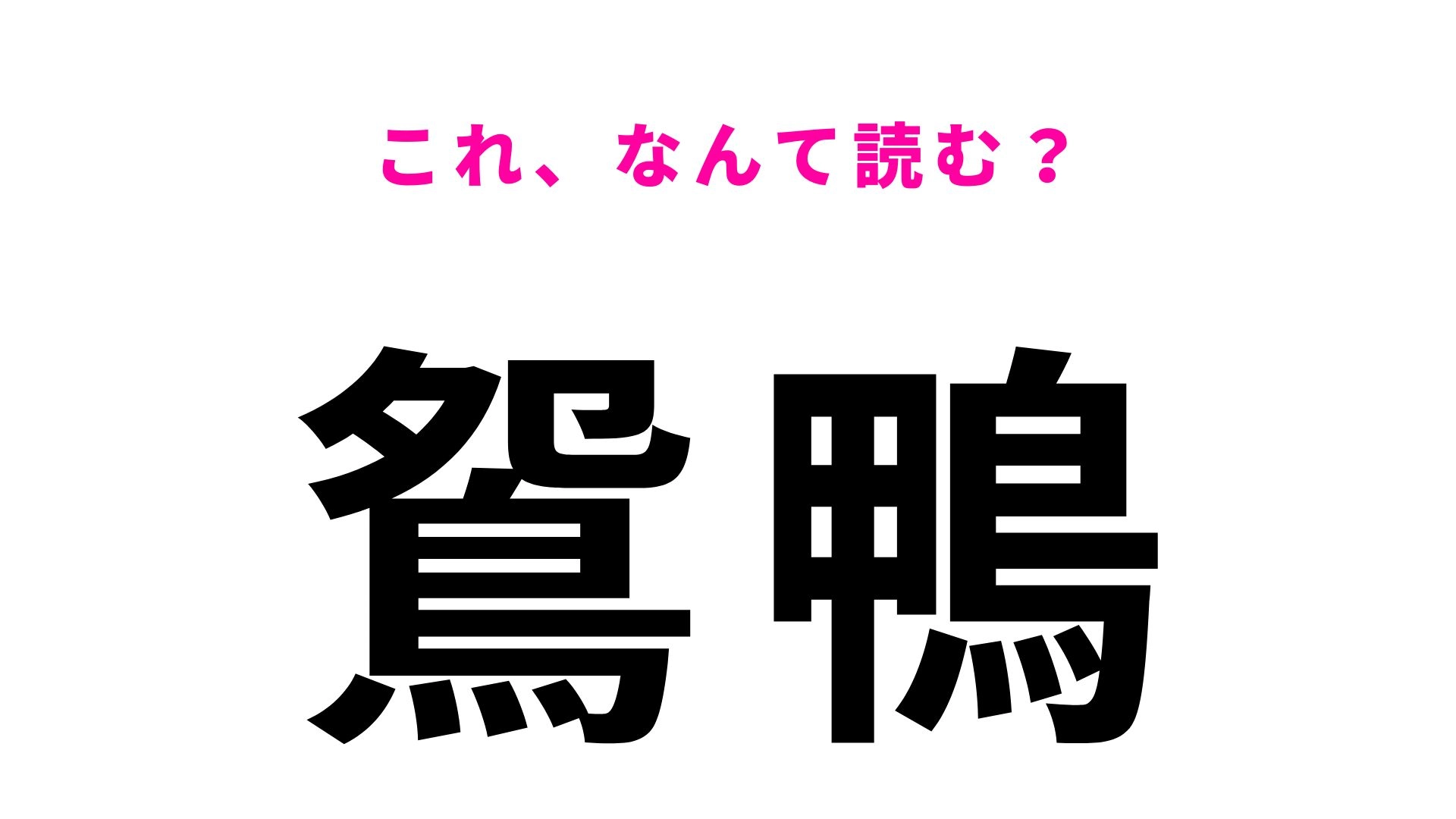 【漢字クイズ】「鴛鴨」の読み方は？愛知県にあるひらがな4文字の地名！