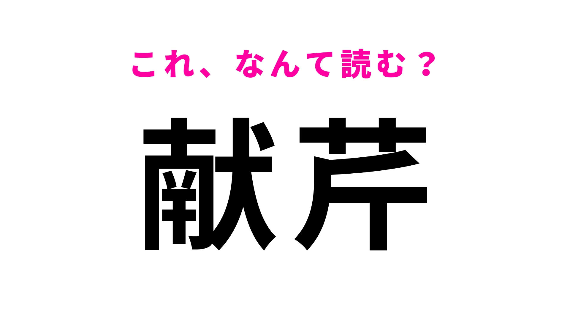 【献芹】はなんて読む？読めたらすごい難読漢字！
