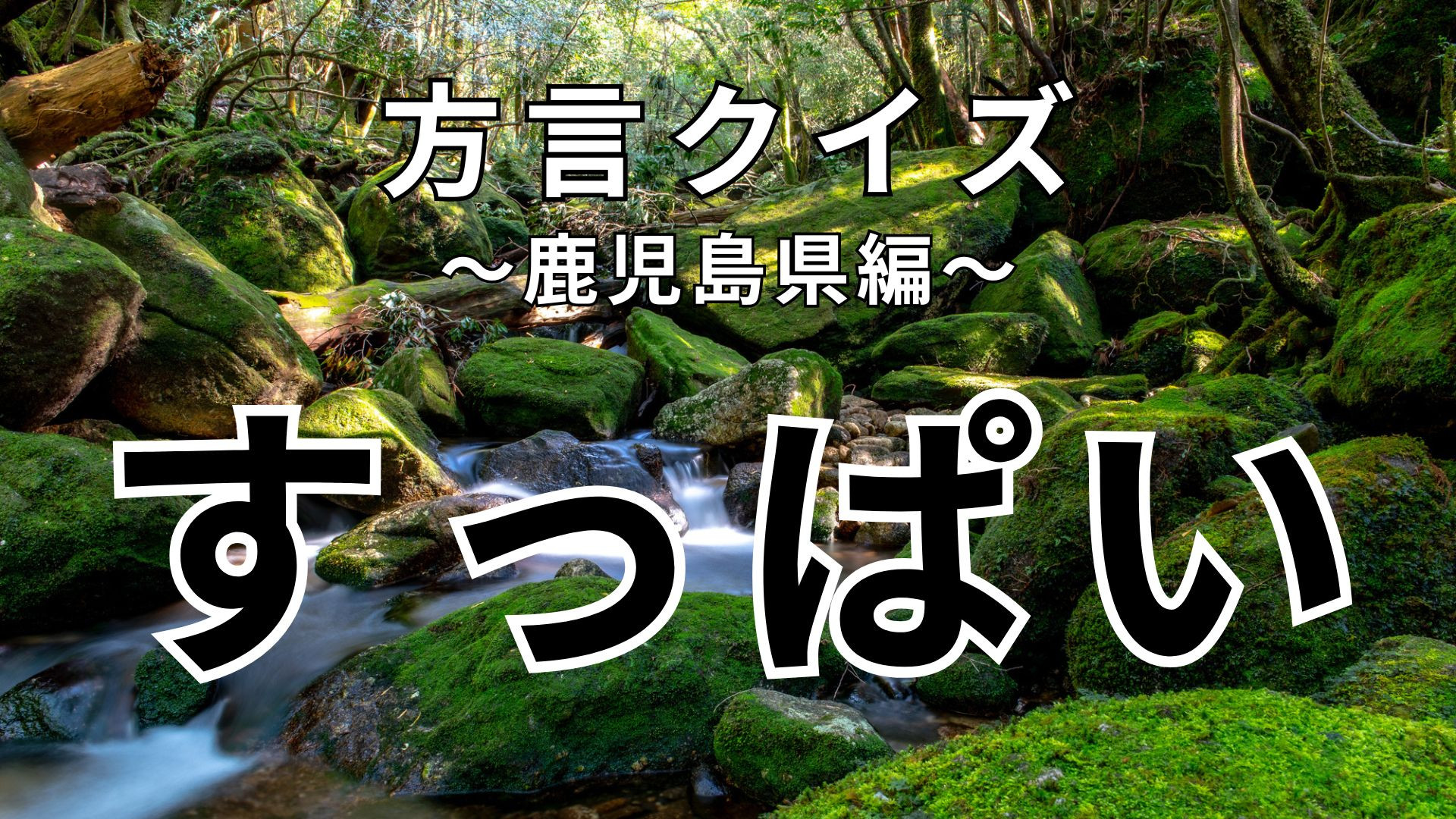 「すっぱい」の意味は？味覚とは全く関係ありません...！【方言クイズ】