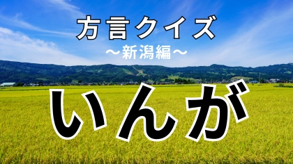 「いんが」の意味は？ある動物を表しています！【方言クイズ】