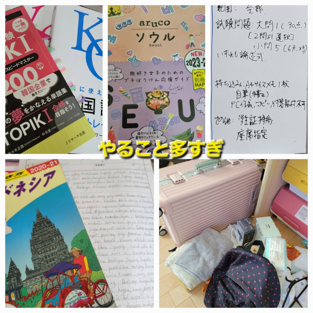 TOPIKの勉強と留学準備でてんやわんや