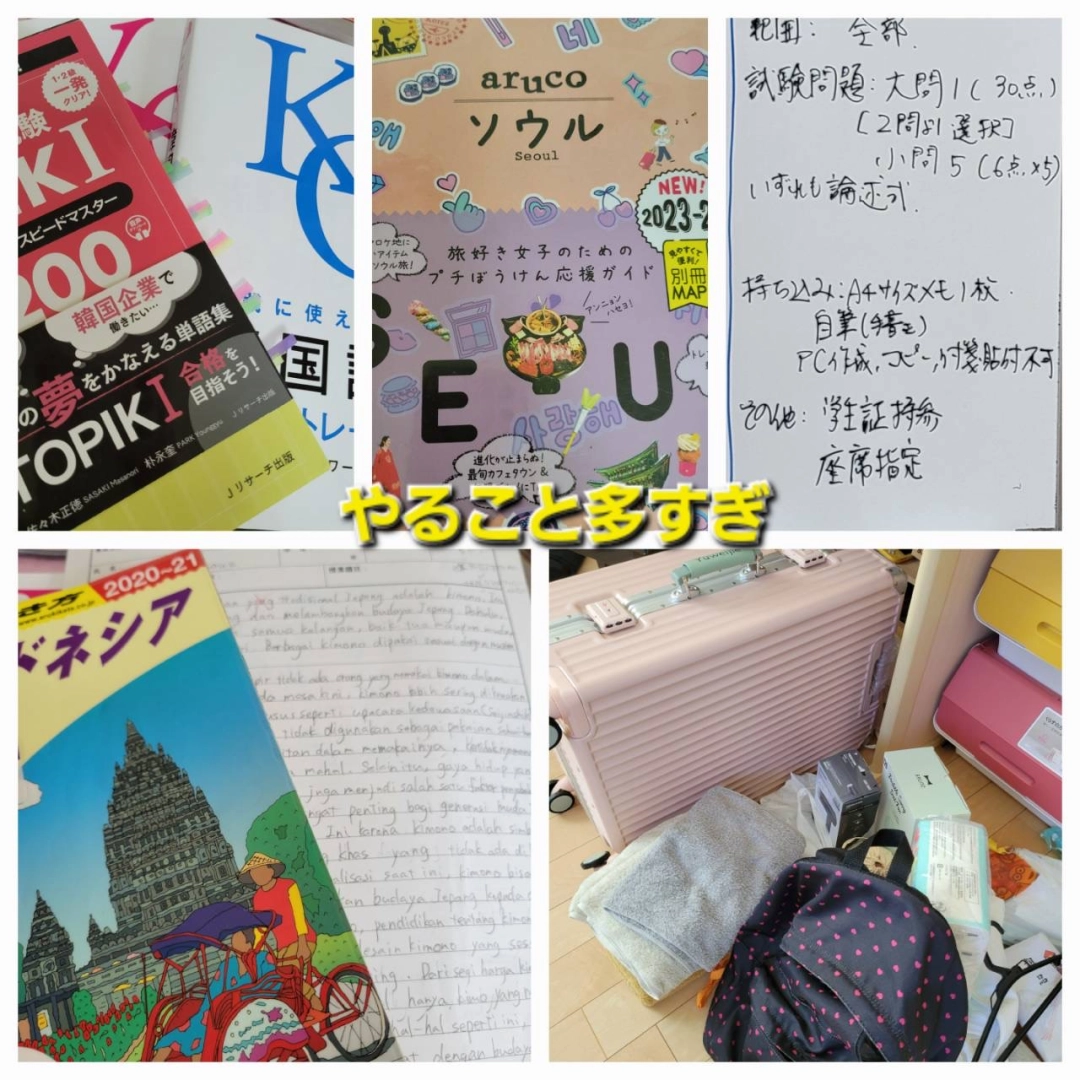 TOPIKの勉強と留学準備でてんやわんや