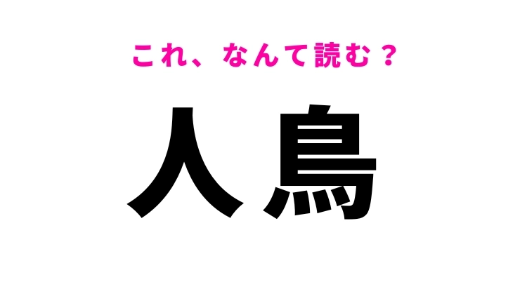 【漢字クイズ】「人鳥」はなんて読む？有名な動物を表す難読漢字！