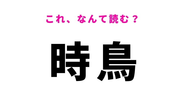 【時鳥】はなんて読む?和歌にも登場する鳥の名前!