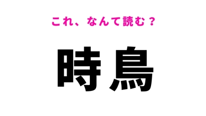 【時鳥】はなんて読む？和歌にも登場する鳥の名前！